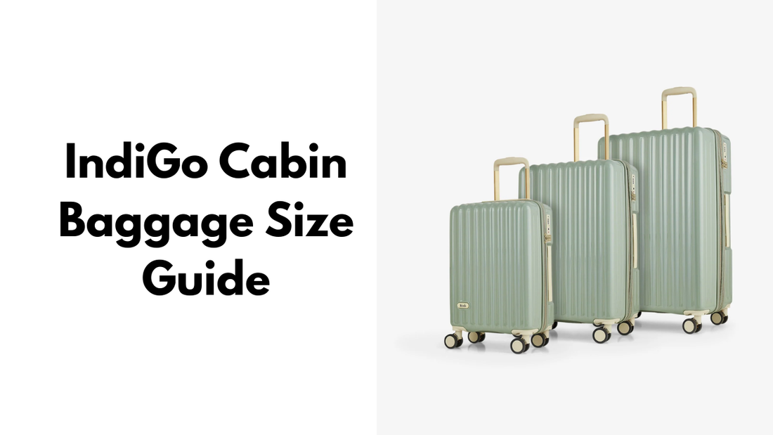 IndiGo Cabin Baggage Size Guide